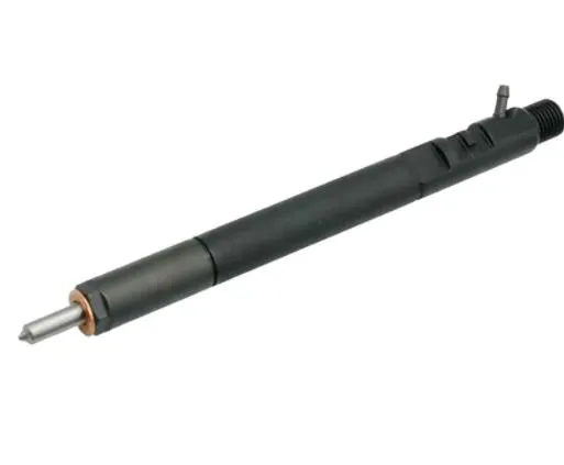 Auto Spare Part Rail Fuel Injector Common Rail Injector Ejbr04601d