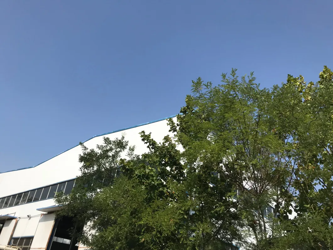 Cr966 Common Rail Injector Test Stand Diesel Test Equipment for Sale Eui Eup Heui Hpi 320d