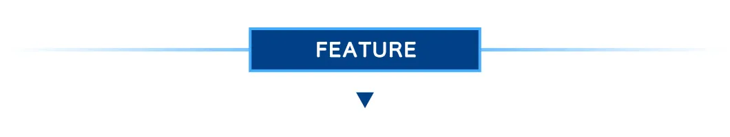 Hydraulic 2 Post Car Lift Automotive Garage Equipment